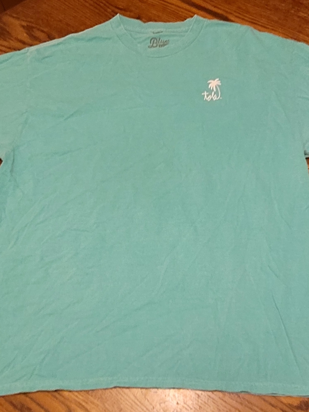 Blue 84 Teal Short-Sleeve Crew with White Palm Logo